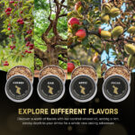 Cocktail smoker kit with cherry, oak, apple, pecan flavors.